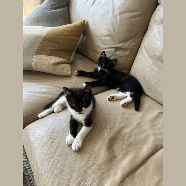 Photo of Voodoo And Slipper