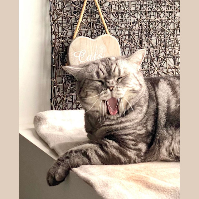 Photo of 🥈Angie🥈