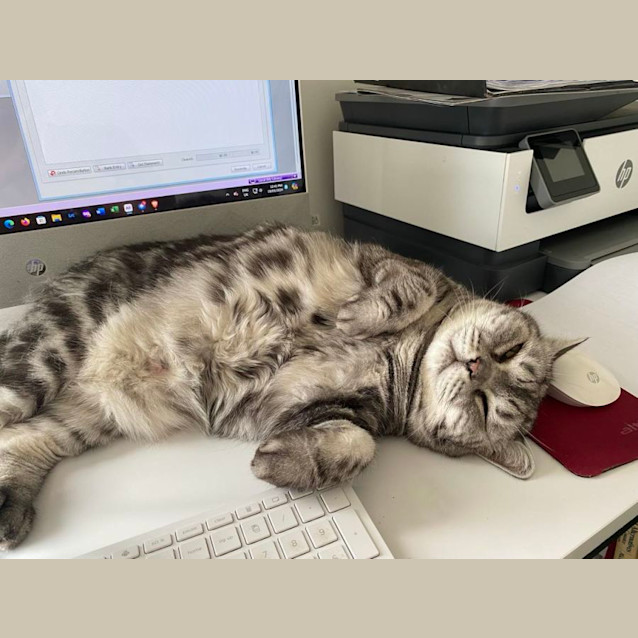 Photo of 🥈Angie🥈