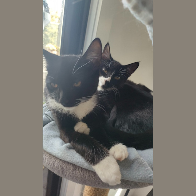 Photo of Klaus