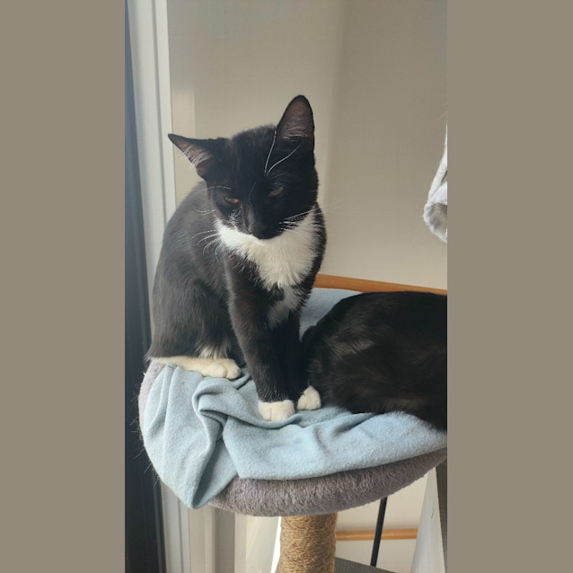 Photo of Klaus