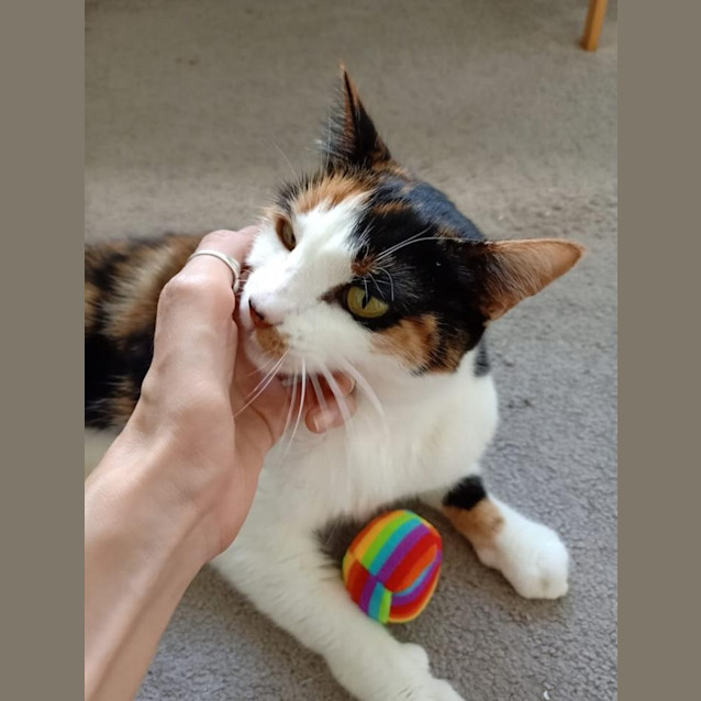 Photo of Kira