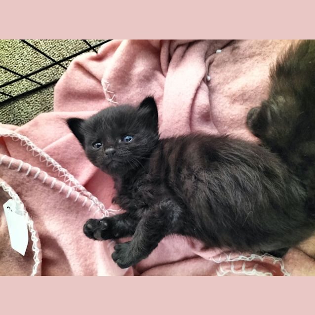 Photo of Charlotte Va