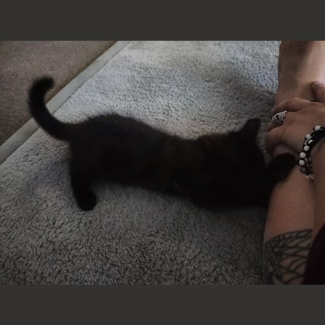 Photo of Charlotte Va