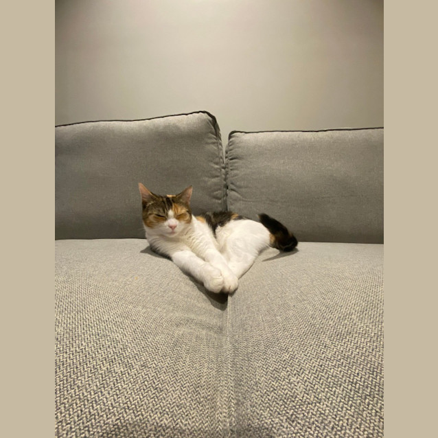 Photo of Allora