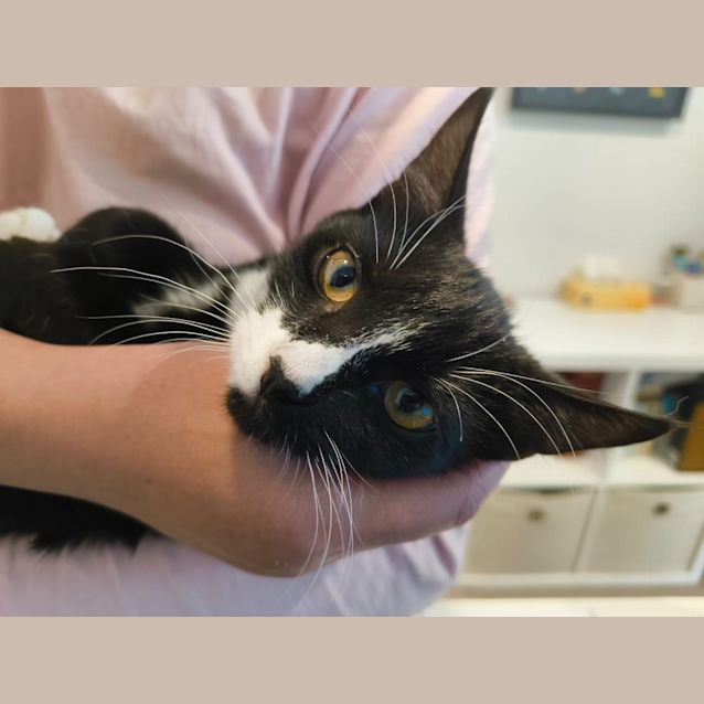 Photo of Clawdia