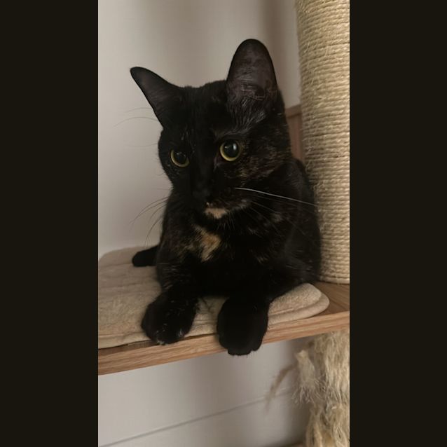 Photo of Hazel
