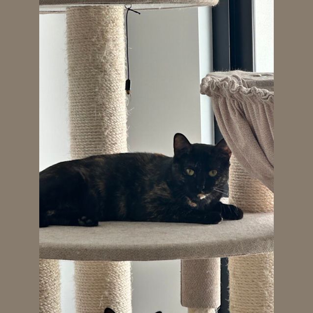 Photo of Hazel