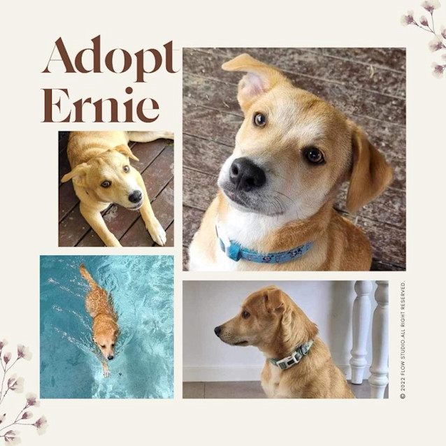Photo of Ernie