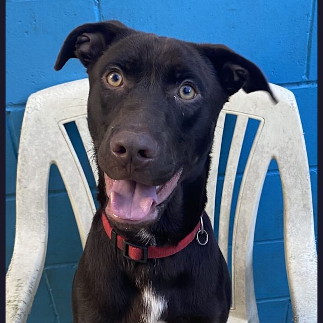 Photo of Bentley