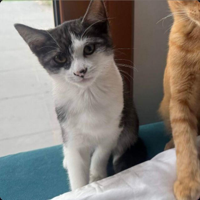 Photo of ❤️ Bundy ❤️