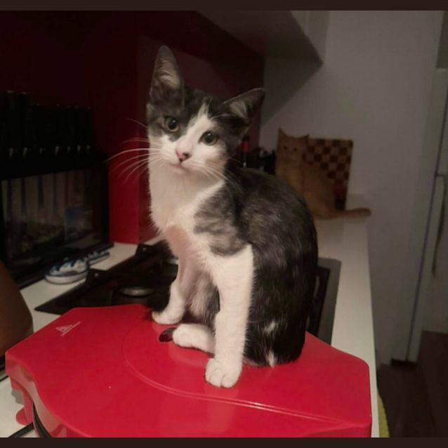 Photo of ❤️ Bundy ❤️