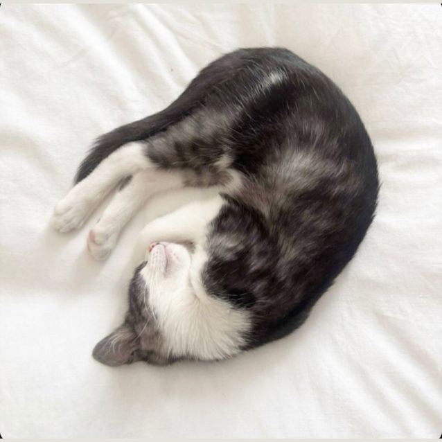 Photo of ❤️ Bundy ❤️