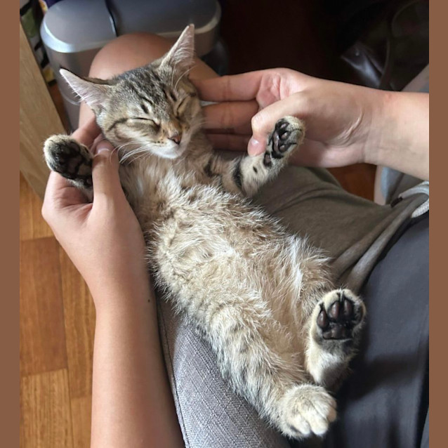 Photo of 🩷 Bindi 🩷