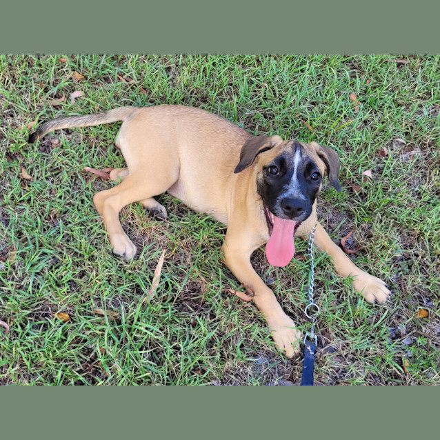 Photo of Caspia (Tk1)