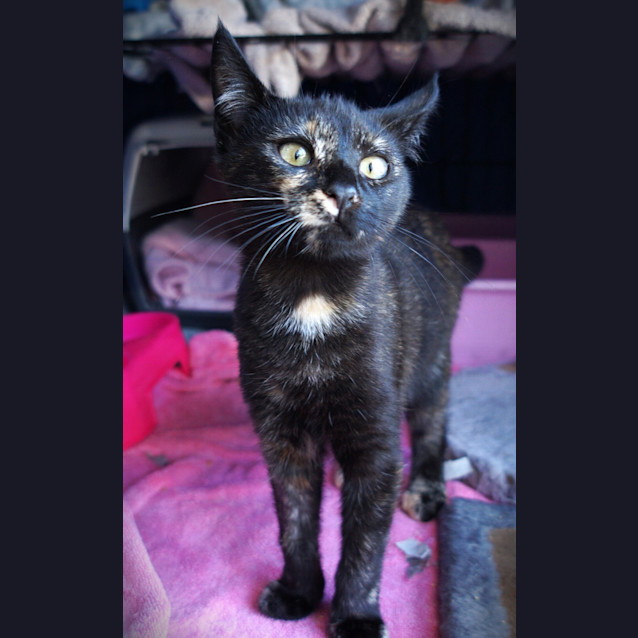 Photo of Emmie