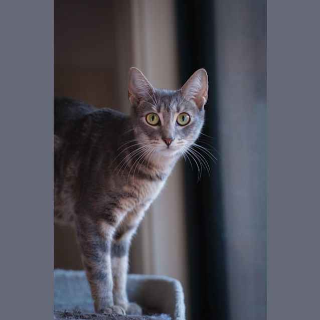Photo of Trudy