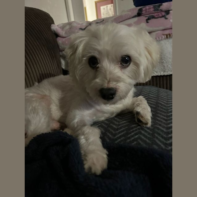 Photo of Flash