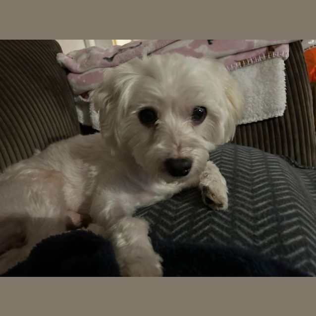 Photo of Flash
