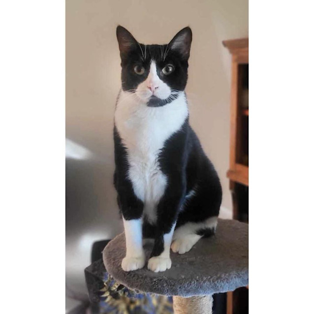 Photo of 9765   Gremlin