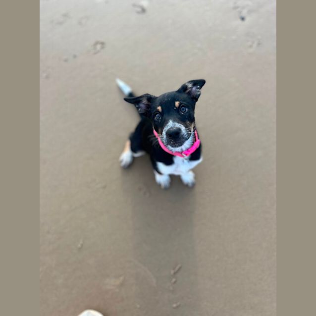 Photo of Milly