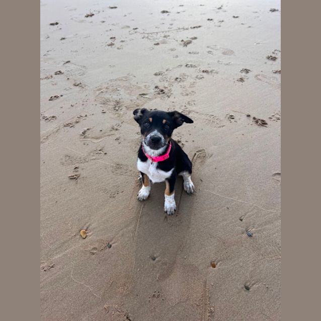 Photo of Milly