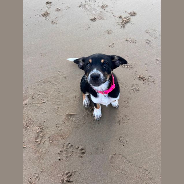 Photo of Milly