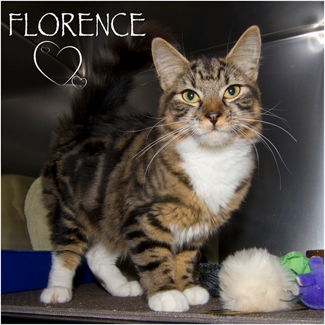 Photo of Florence