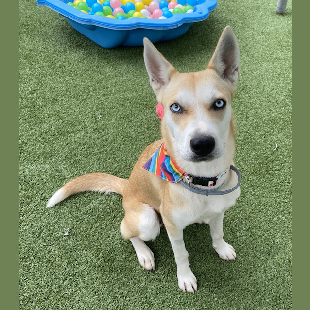 Photo of Maggie