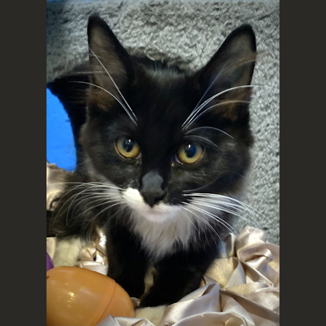 Photo of Betty