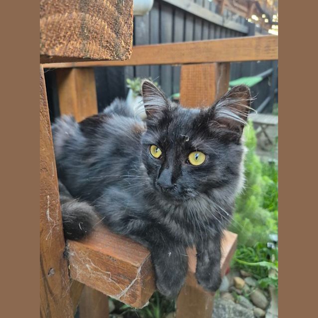 Photo of Brewster Wolfe