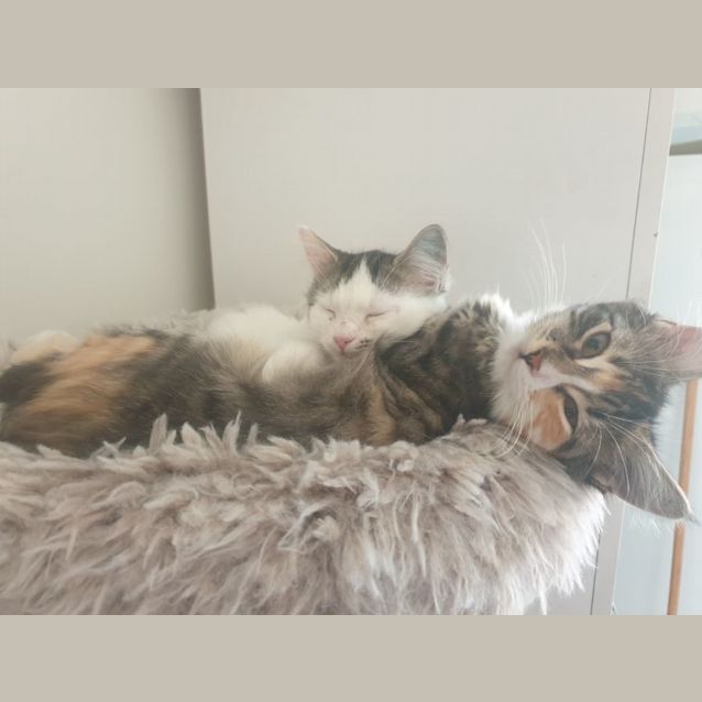 Photo of Kaia & Alex