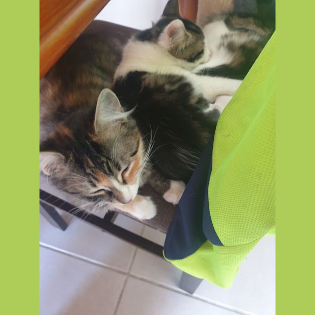 Photo of Kaia & Alex