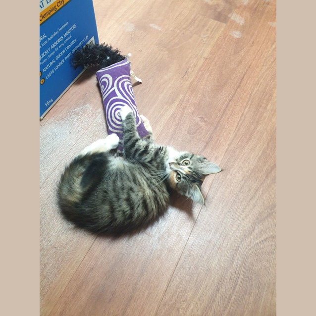 Photo of Kaia & Alex