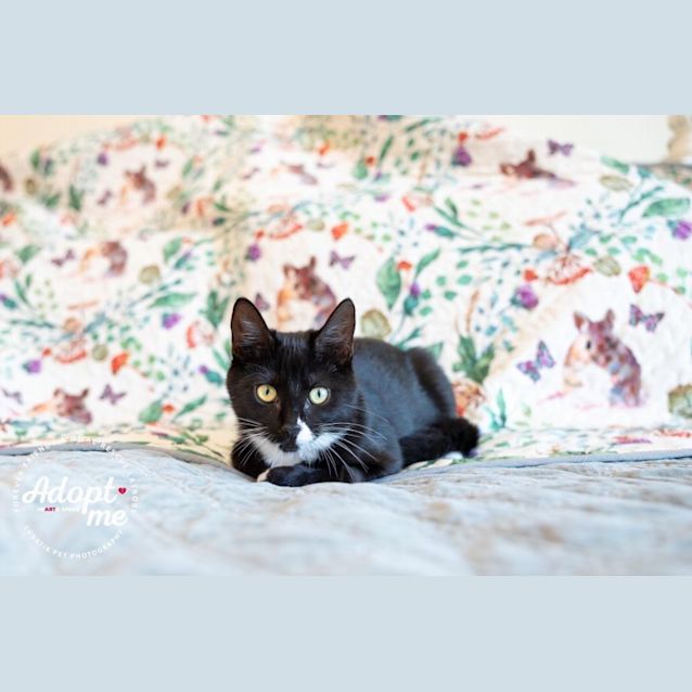 Photo of 💜💜 Kit Kat 💜💜