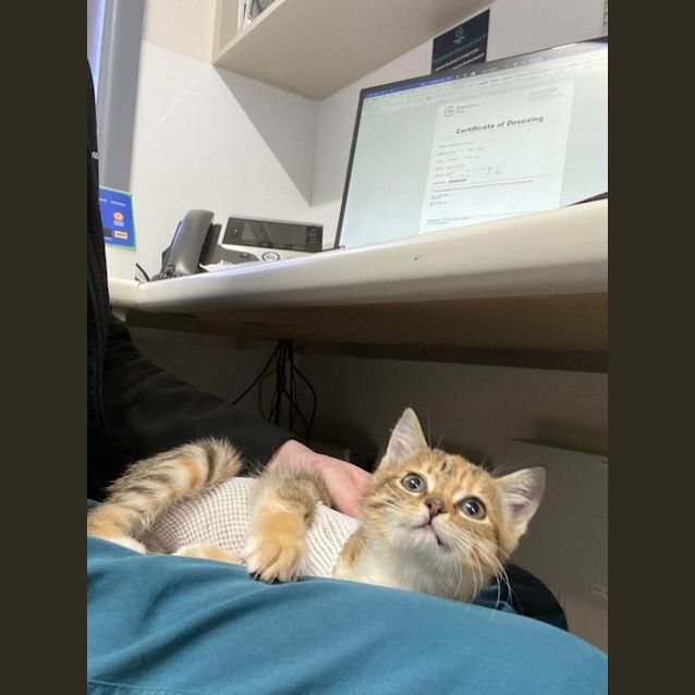 Photo of Bubbles   Located In Kew