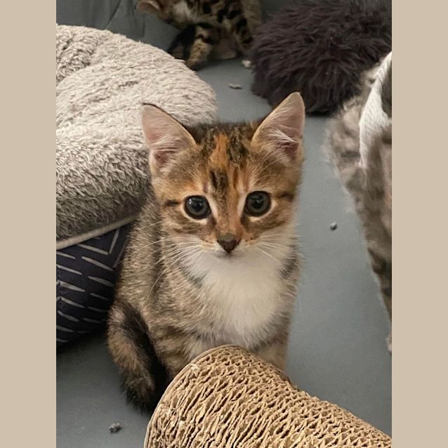 Photo of Bubbles   Located In Kew