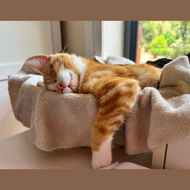 Photo of Roux   Located In Lower Plenty