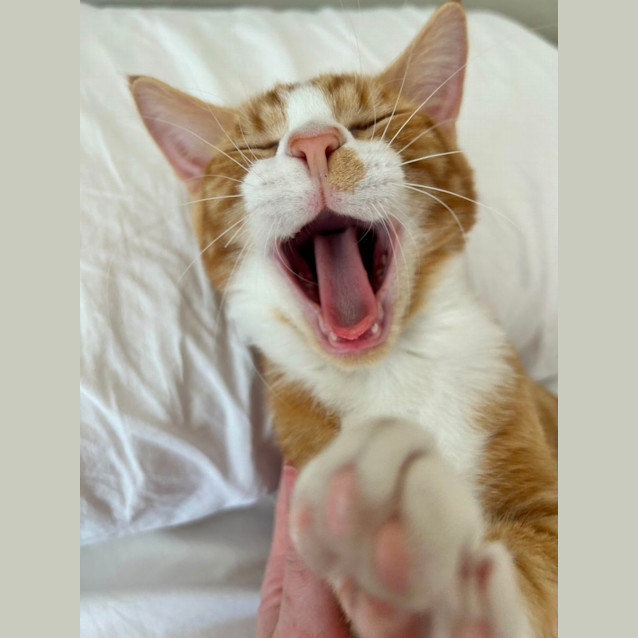 Photo of Roux   Located In Lower Plenty