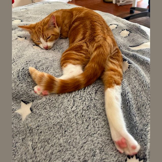 Photo of Roux   Located In Lower Plenty