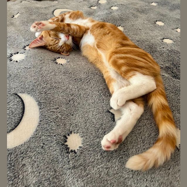 Photo of Roux   Located In Lower Plenty