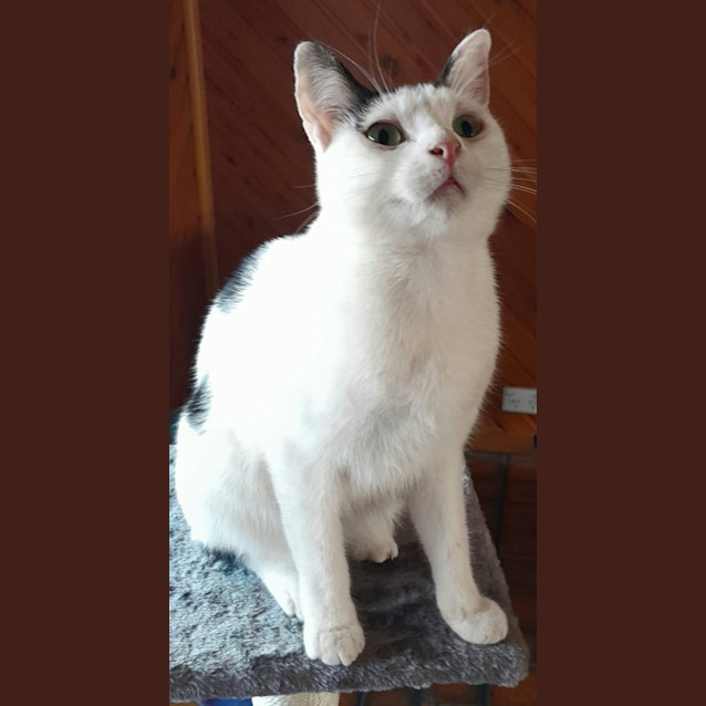 Photo of Felicity And Renee