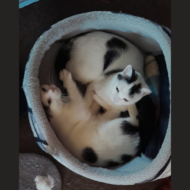 Photo of Felicity And Renee