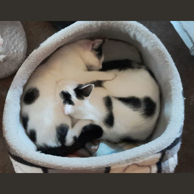 Photo of Felicity And Renee