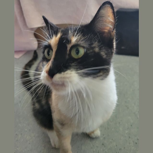 Photo of Milly