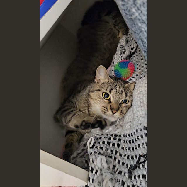 Photo of Tuesday