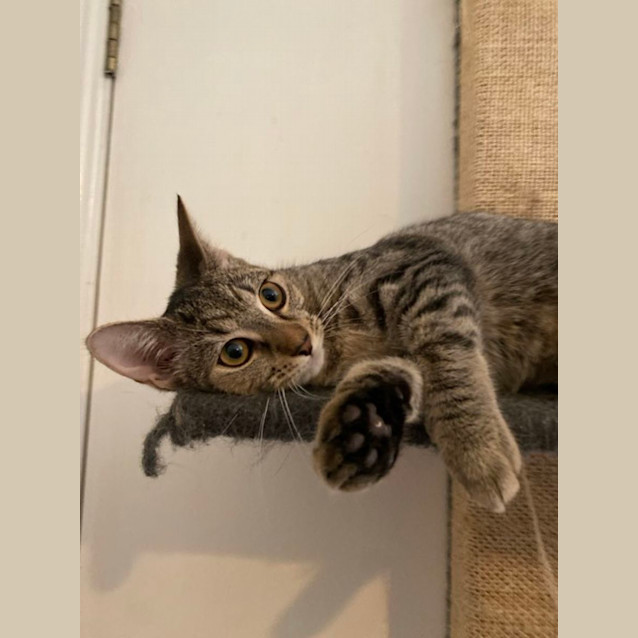 Photo of Meika