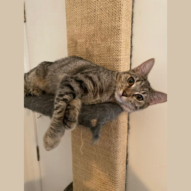 Photo of Meika