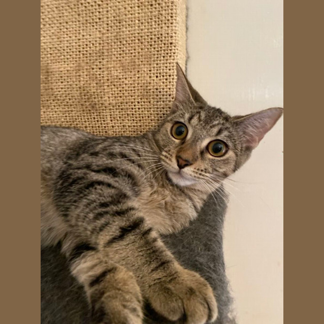 Photo of Meika