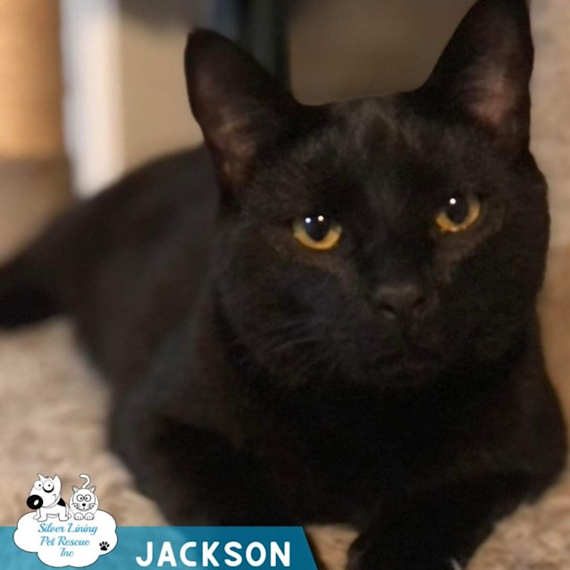 Photo of Jackson